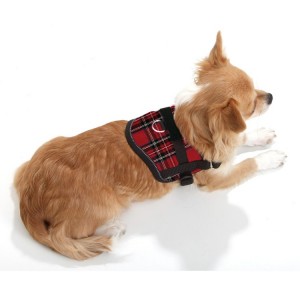 Harnais pour petit chien confort et sécuritaire Teeny Weeny | Écossais