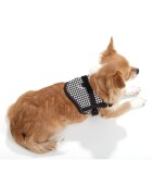 Harnais pour petit chien confort et sécuritaire Teeny Weeny | Pied de poule