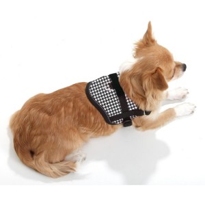 Harnais pour petit chien confort et sécuritaire Teeny Weeny | Pied de poule