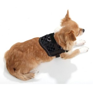 Harnais pour petit chien confort et sécuritaire Teeny Weeny | Noir