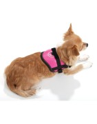 Harnais pour petit chien confort et sécuritaire Teeny Weeny | Rose