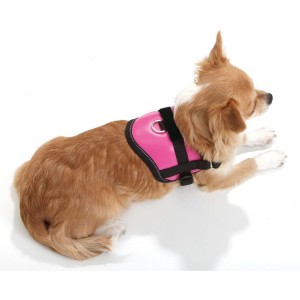 Harnais pour petit chien confort et sécuritaire Teeny Weeny | Rose
