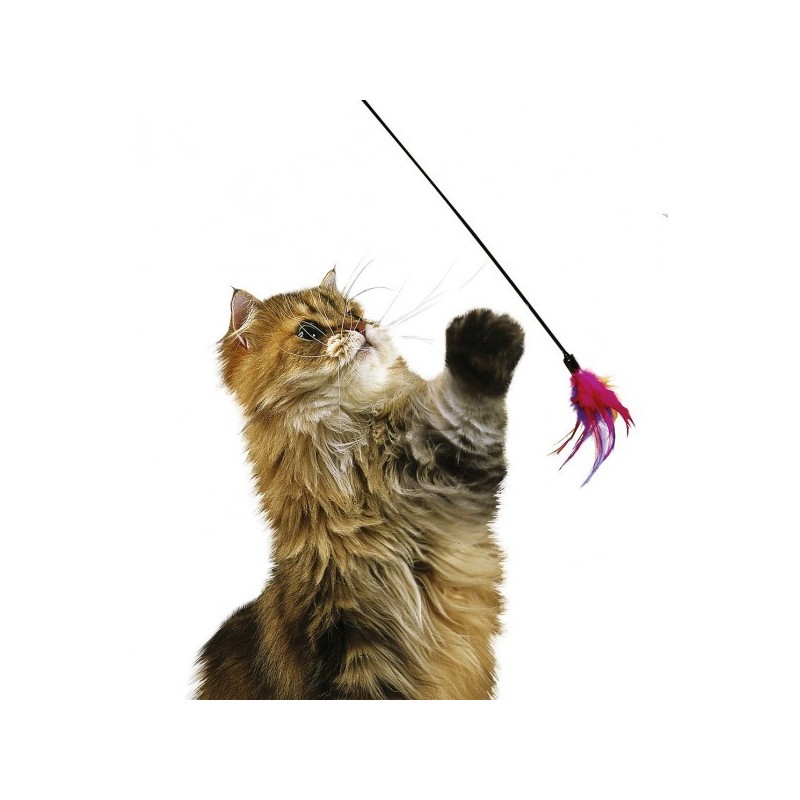 Plumeau, jouet en plumes pour chat