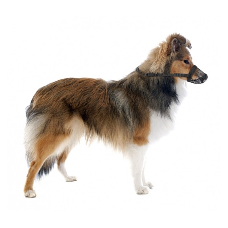 Muselière en nylon pour chien avec filet anti-intoxication