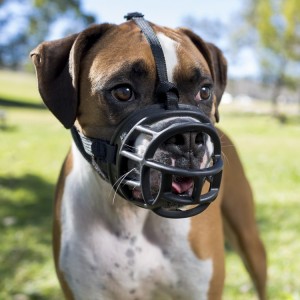 Muselière Baskerville Ultra pour chien ultra confortable
