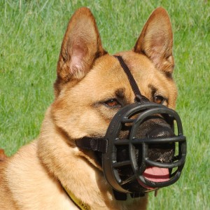 Muselière Baskerville Ultra pour chien ultra confortable