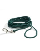 Longe ronde en nylon verte pour chien | 5 ou 10 m