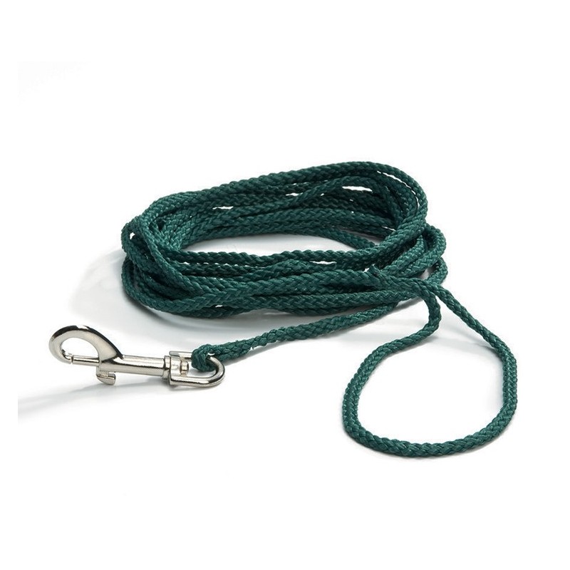 Longe ronde en nylon verte pour chien | 5 ou 10 m