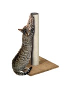 Grand griffoir pour chat avec un poteau en sisal