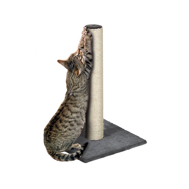 Grand griffoir pour chat avec un poteau en sisal