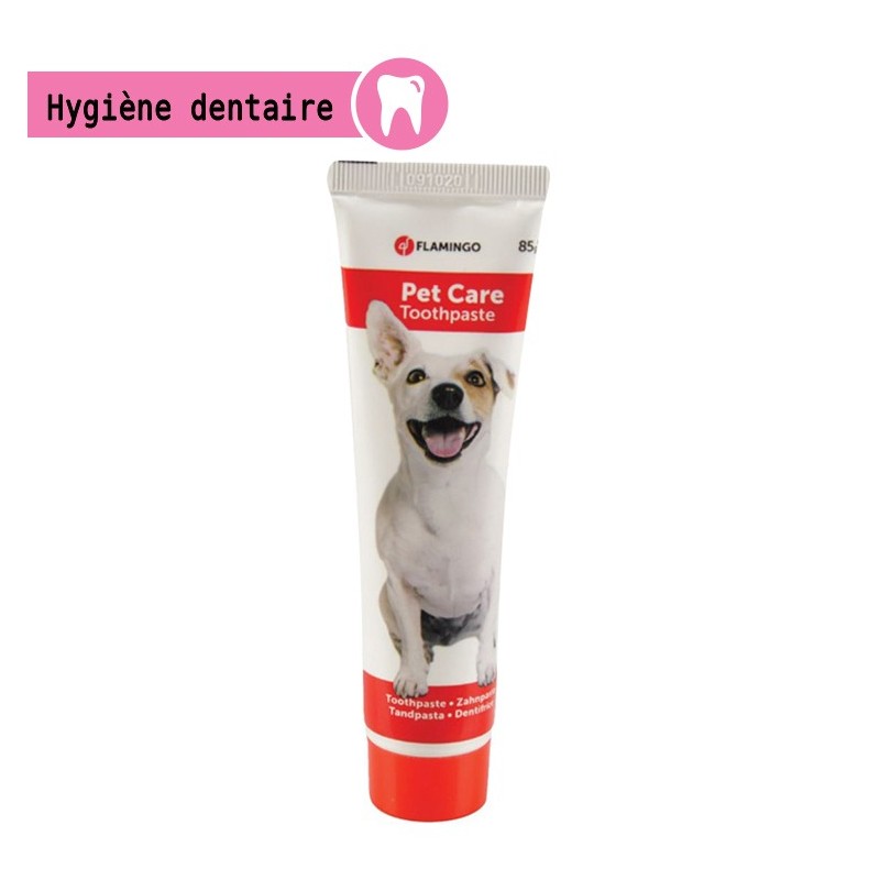 Dentifrice à la menthe pour nettoyer les dents de votre chien