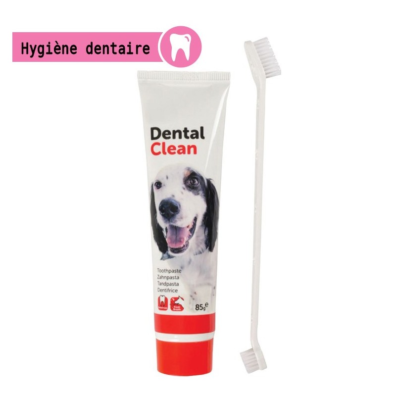 Dentifrice à la menthe avec brosse à dents double pour nettoyer les dents de votre chien