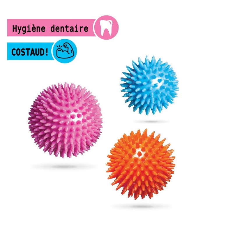 Balle hérisson en caoutchouc dure avec picots | Jouet résistant pour chien et chiot