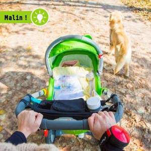 Laisse bracelet à enrouleur pour chien et chat | 30 kg | Lishinu