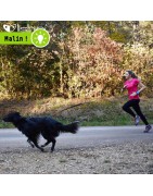 Laisse bracelet à enrouleur pour chien et chat | 30 kg | Lishinu