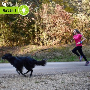 Laisse bracelet à enrouleur pour chien et chat | 30 kg | Lishinu