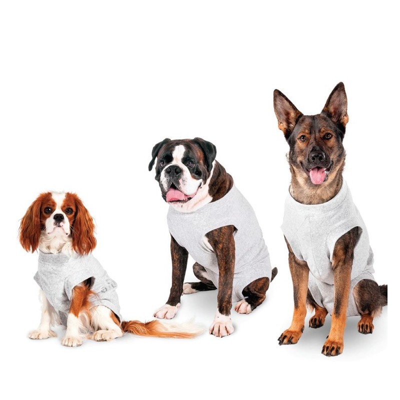 Body de soin pour chien | Protection des blessures