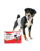 12 Couches jetables pour chien mâle | Marquage urinaire et incontinence