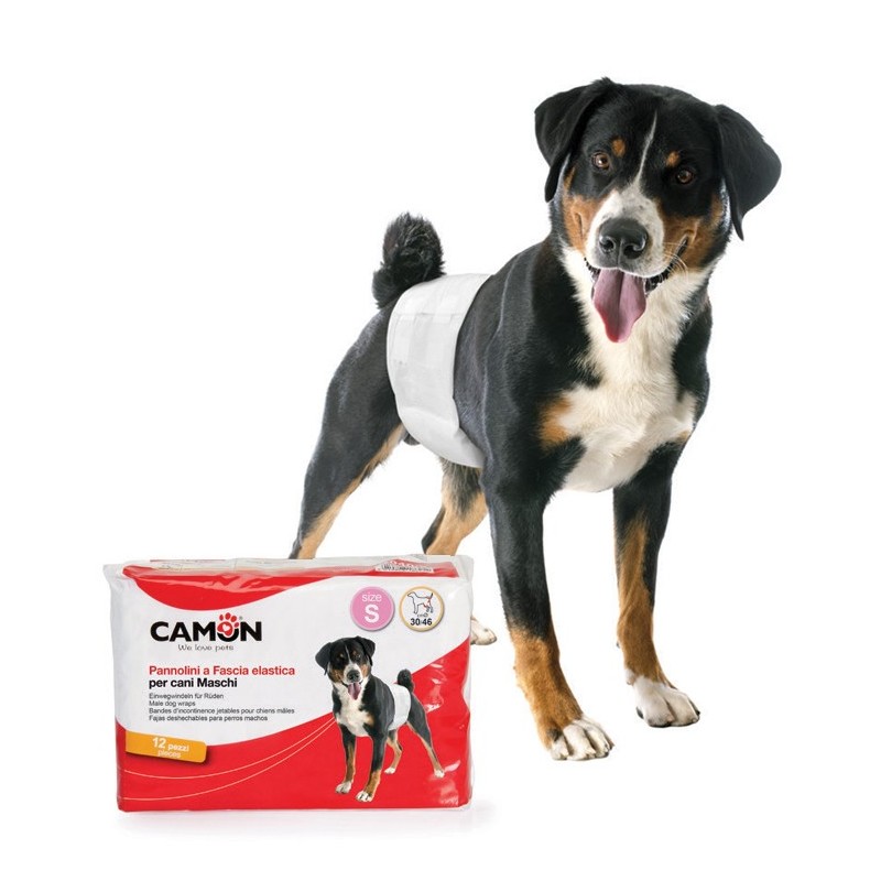 12 Couches jetables pour chien mâle | Marquage urinaire et incontinence