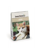 Herbe à chat ou cataire pour stimuler votre chat