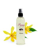 Parfum pour chien  et chiot | Puppy Pitchoune | Senteur Ylang-Ylang | 50 ou 250 ml