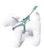 Harnais pour chien en nylon avec surpiqûres réfléchissantes | BOBBY SAFE Lagon
