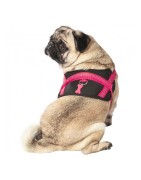 Harnais pour chien en nylon avec surpiqûres réfléchissantes EASY | Bobby Fushia