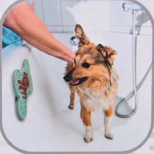 Tapis à lécher en silicone pour distraire votre chien | 22 x 13 cm