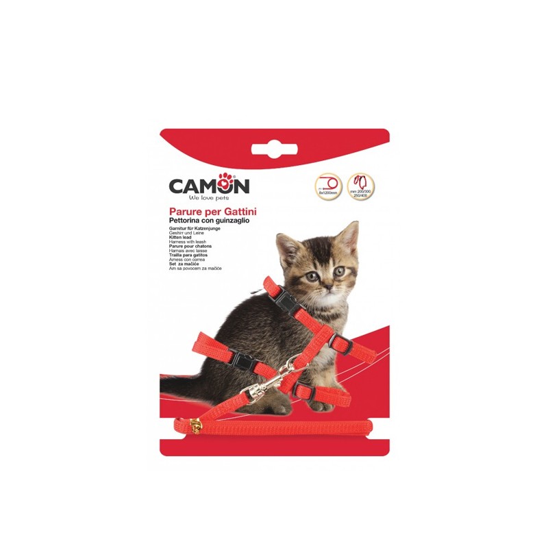 Harnais pour chaton réglable avec laisse en nylon et grelot