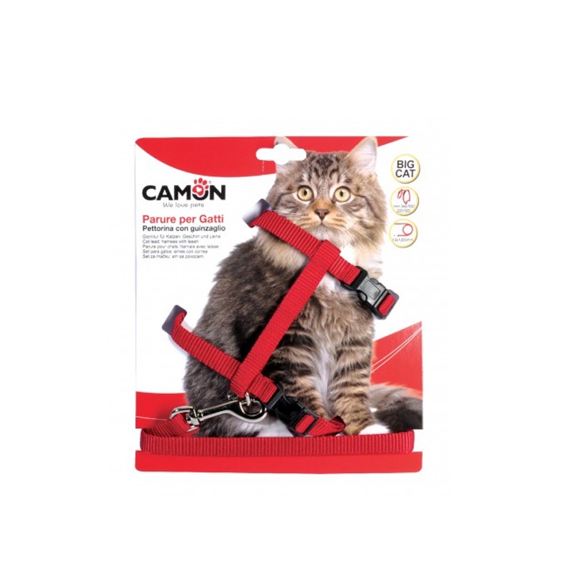 Harnais grand chat réglable et laisse nylon