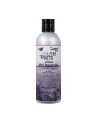Shampoing Pour Chien Alpha White de Groomer's Edge
