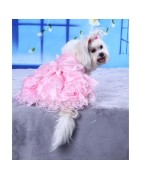 Robe Rose De Mariage Pour Chien Et Chat
