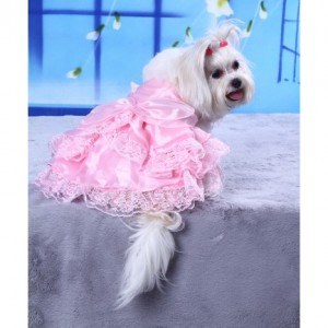 Robe Rose De Mariage Pour Chien Et Chat