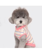 Pinkaholic sweat MAIRE | ROSE