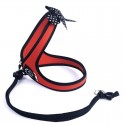 Harnais confort TRE PONTI Fashion pour chien avec cordon | Rouge : Taille:T. 3 -  Poitrine 41 à 51 cm. Max 7 kg.