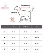 Trench-coat pour petit chien Pinkaholic CLARIS | Beige