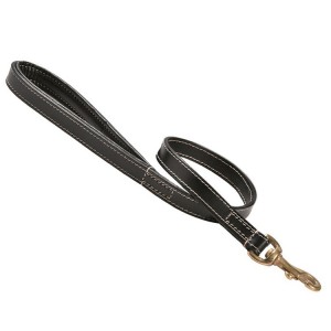 Laisse en cuir doublé avec surpiqûres pour chien | BOBBY Classic