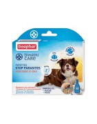 Boite de 6 pipettes stop parasites naturelles pour chien DiméthiCARE | Beaphar