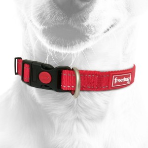 Collier pour chien en nylon avec surpiqûres réfléchissantes