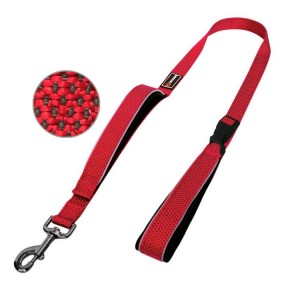 Laisse pour chien en nylon et néoprène avec double poignée