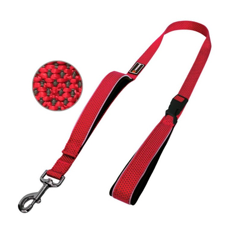 Laisse pour chien en nylon et néoprène avec double poignée
