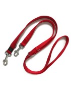 Laisse de dressage pour chien en nylon | Laisse 3 positions