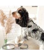 Harnais VENI VIDI VICHY | BANDIT