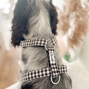 Harnais VENI VIDI VICHY | BANDIT