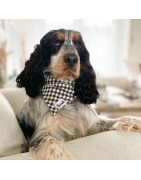 Bandana VENI VIDI VICHY | BANDIT
