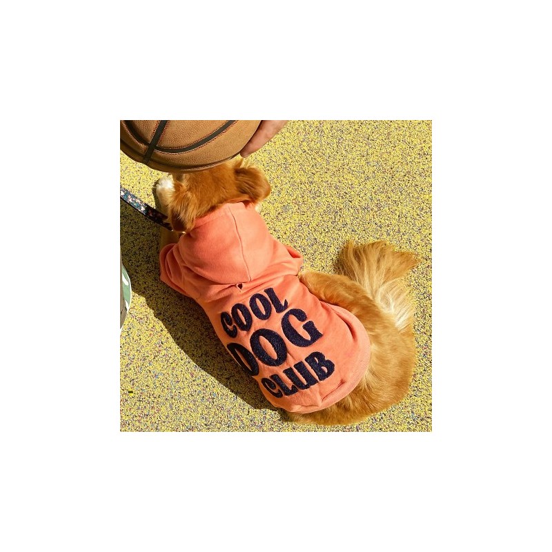 Sweat à capuche "COOL DOG CLUB" Rose | BANDIT