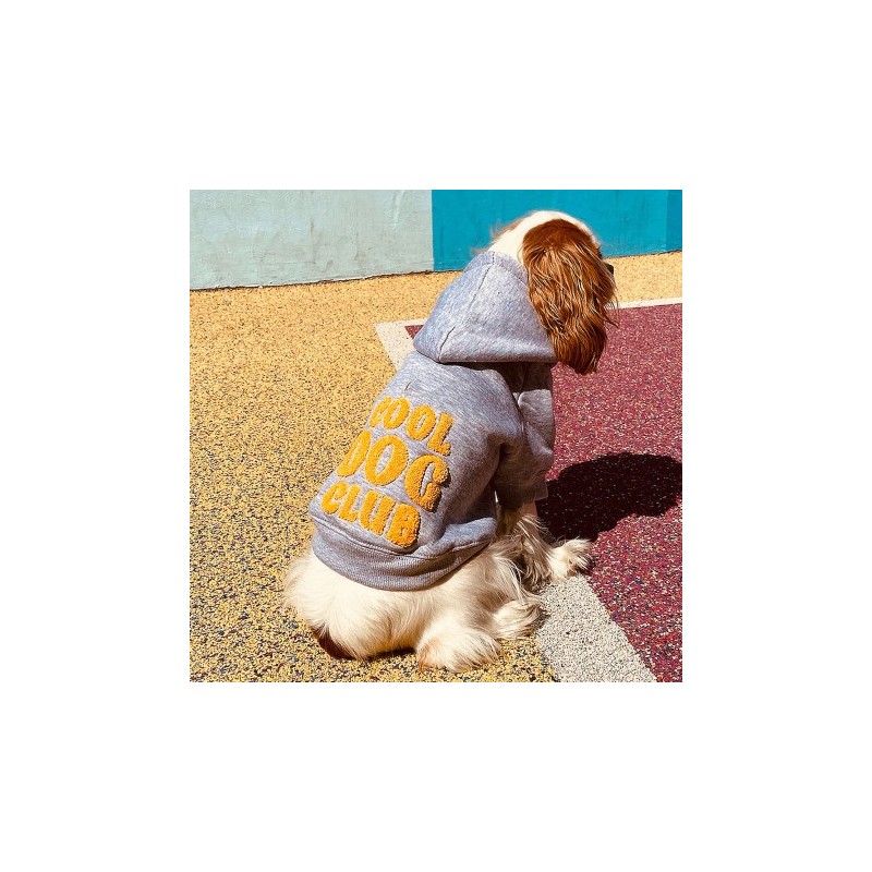 Sweat à capuche "COOL DOG CLUB" Gris | BANDIT