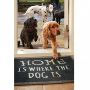Tapis HOME DOG gris