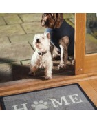 Tapis Home