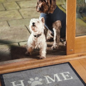Tapis Home